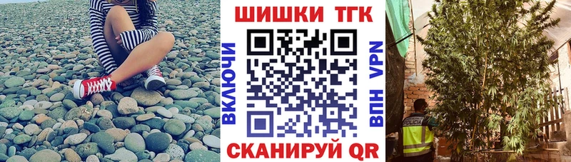 Купить наркотики сайты Черногорск ГАШ  Codein  Псилоцибиновые грибы  Меф  АМФ 
