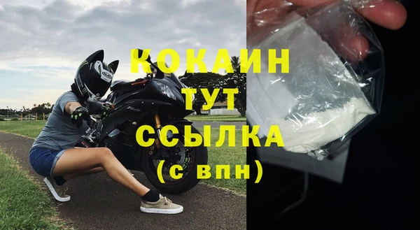 сатива Абинск
