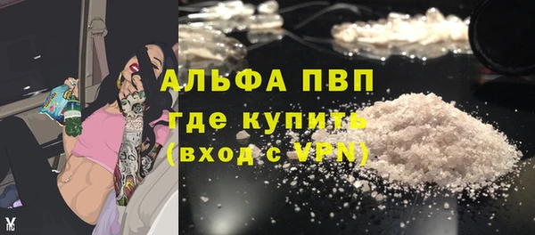 сатива Абинск